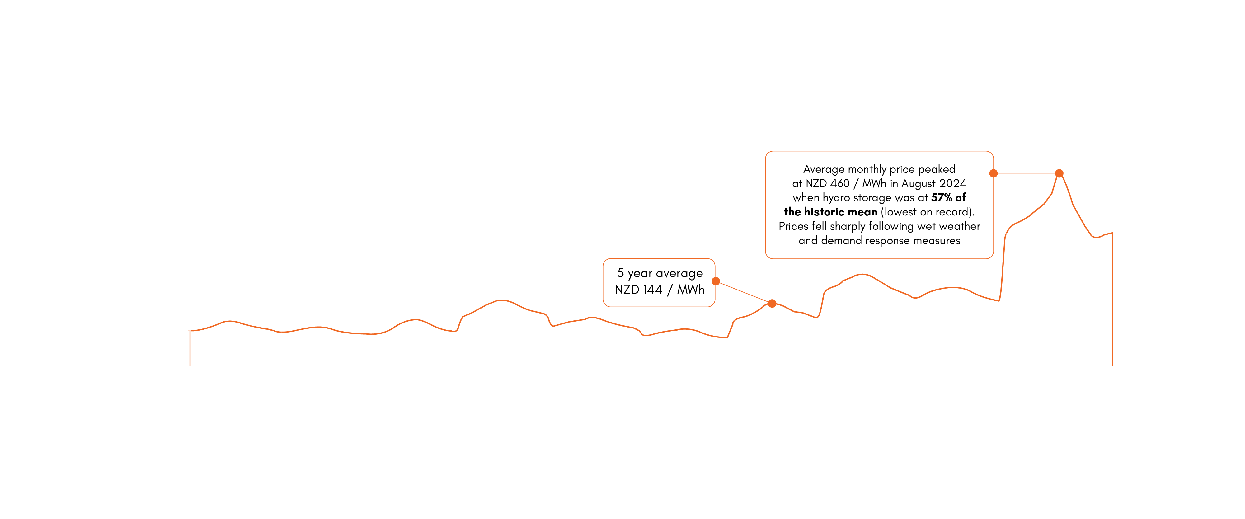 Ongaonga Consultation Complete